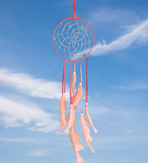 Dreamcatcher Medium-Pink-A