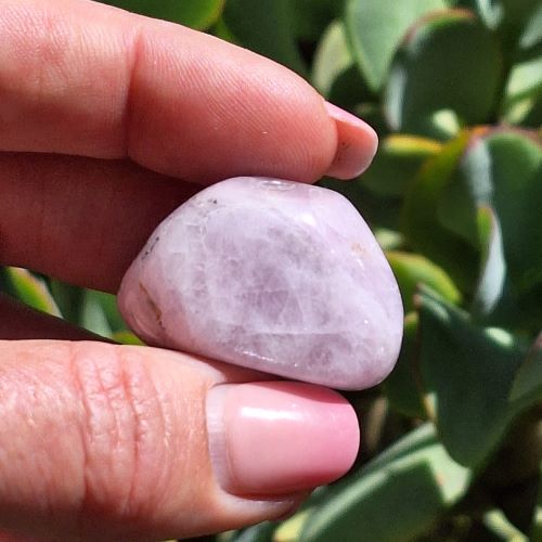 Kunzite-medium-tumbles-G1