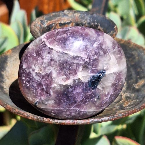Lepidolite-gallet-palmstone-G4