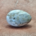 Ocean Jasper-gallet-palmstone1
