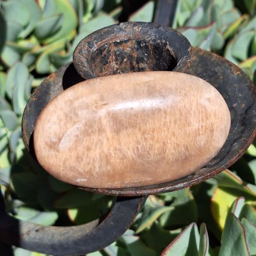 Satinskin-feldspar-gallet-palmstone-G6