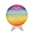 Selenite - Flower of Life with Rainbow colours-RS